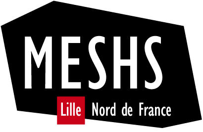 MESHS - Maison Européenne des Sciences de l'Homme et de la Société