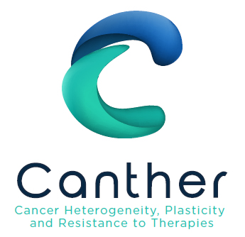 Heterogeneite, Plasticite et Resistance aux Therapies des Cancers